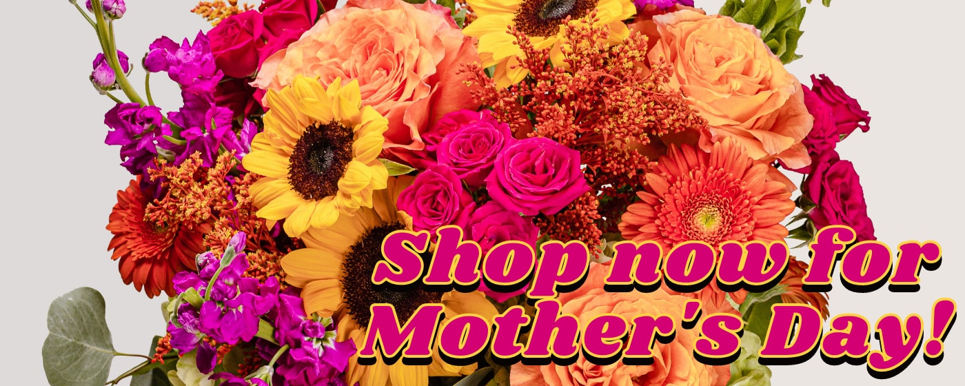 North Raleigh Florist Raleigh, NC Flower Delivery Local Flower Shop